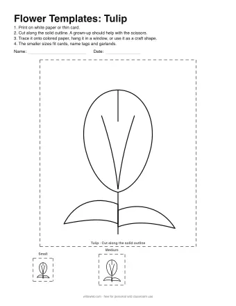 Preview of Flower Templates: Tulip