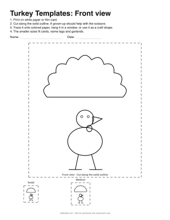 Preview of Turkey Templates: Front view