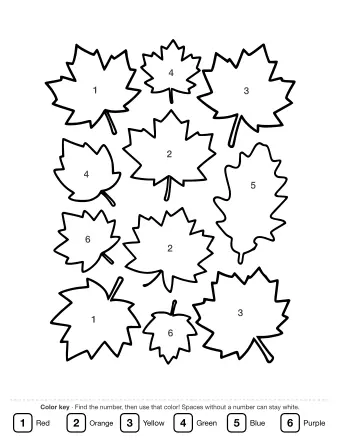 Black and white line drawing of a cluster of maple, oak, and birch leaves in various shapes and sizes, arranged on a white background.