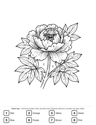 Black and white line drawing of a large peony flower with layered petals, a textured center, and several compound leaves on branching stems.