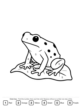 Black-and-white line drawing of a small spotted dart frog sitting on a large leaf, with its front legs visible and a curled tail.