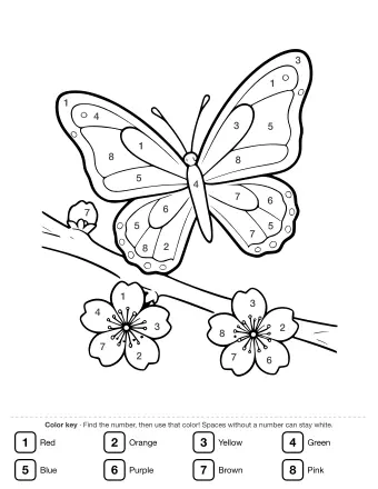 Line drawing of a large butterfly with patterned wings perched on a branch with two open cherry blossoms and one bud.