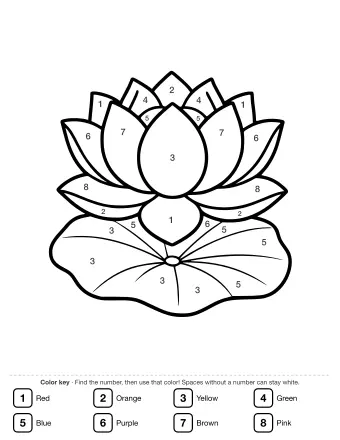 Black-and-white line drawing of a large lotus flower with multiple layers of pointed petals, a rounded center, and two broad leaves spreading out at the base.