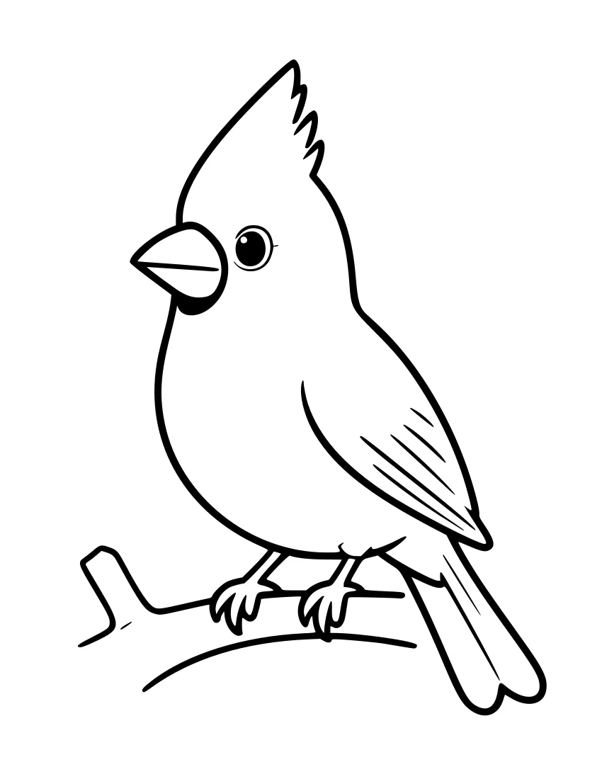 Black-and-white line drawing of a cardinal perched on a branch, showing its pointed crest, short thick beak, and feather details.