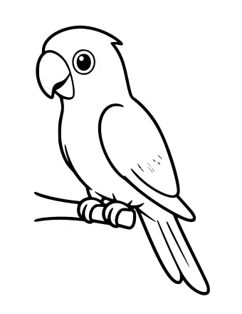 Black-and-white line drawing of a parrot perched on a branch, shown in profile with a curved beak, round eye, and long tail feathers.