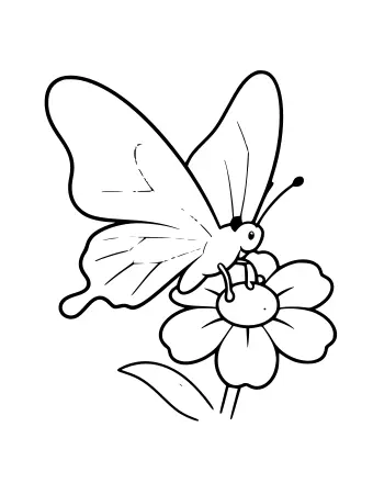 Black and white line drawing of a butterfly with large, patterned wings perched on a five-petaled flower with a visible center and stem.