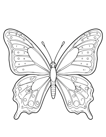 Black and white line drawing of a butterfly with four wings spread open, featuring intricate patterns, small circles, and detailed veins on a white background.