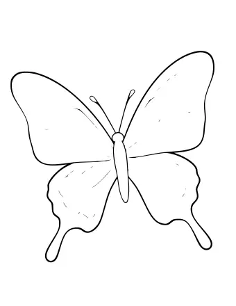 Black-and-white line drawing of a swallowtail butterfly with four wings, two antennae, and long tail-like extensions on the lower wings.