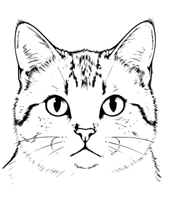 Schwarz-weißes Ausmalbild eines Katzenkopfes in Nahaufnahme mit großen Augen, spitzen Ohren, Schnurrhaaren und feinen Strichen zur Darstellung der Felltextur.
