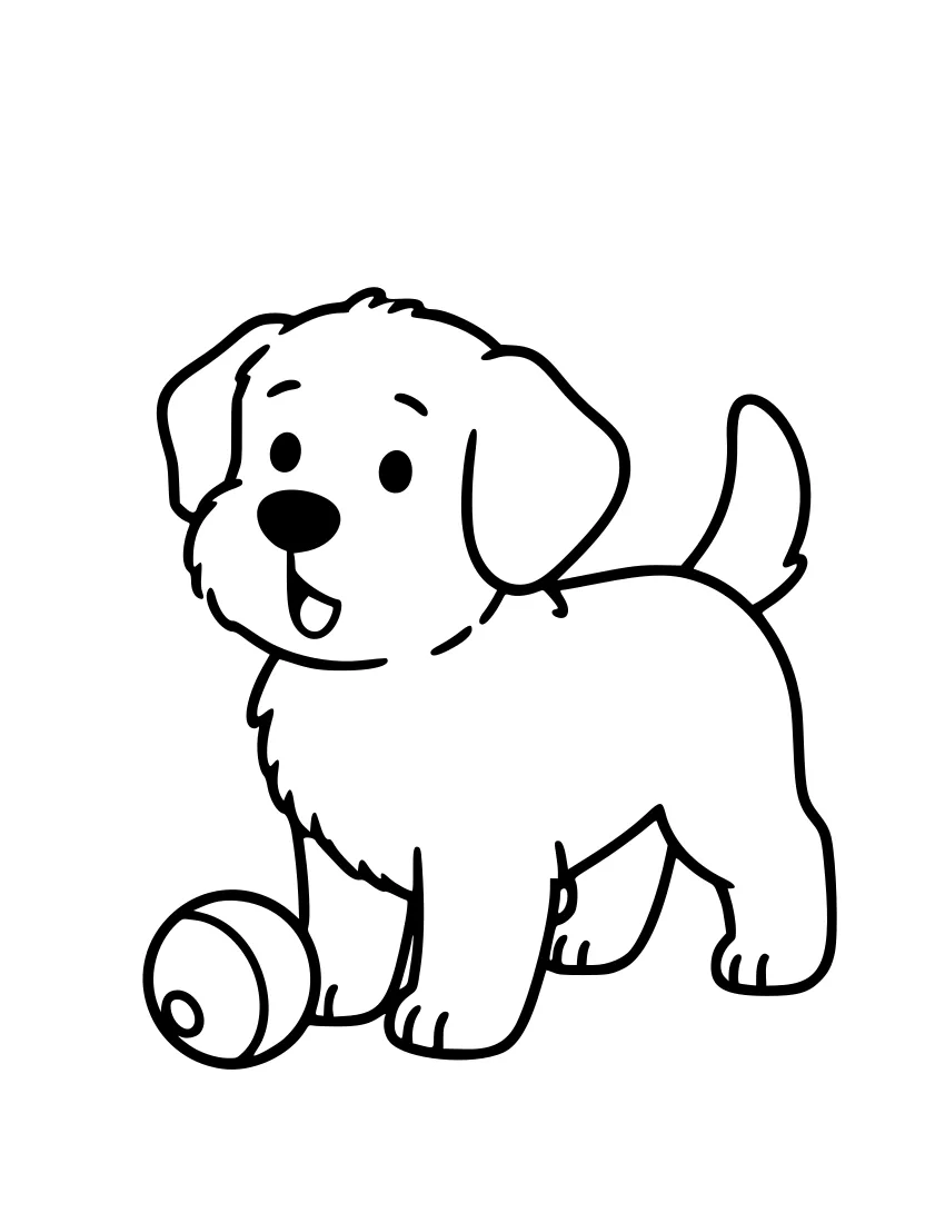Black-and-white line drawing of a golden retriever puppy sitting and looking at a ball on the ground, with floppy ears and a curled tail.