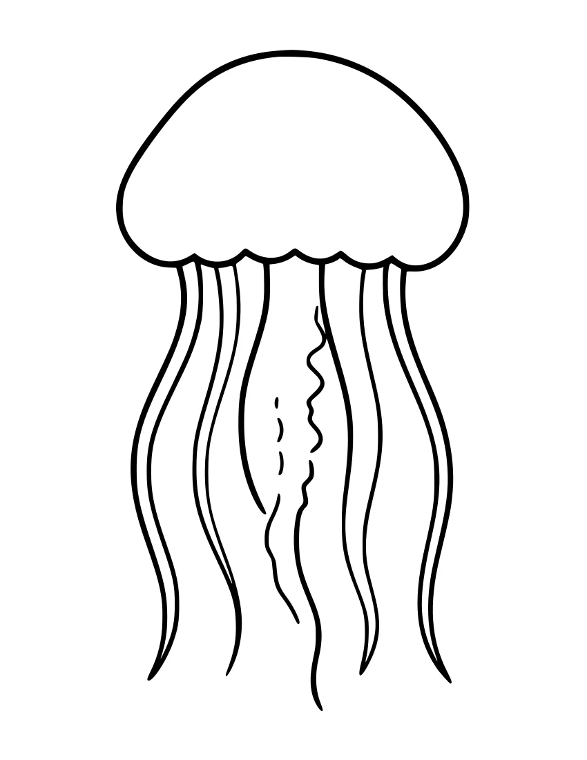 Black and white line drawing of a jellyfish with a large rounded bell and several long, wavy tentacles hanging down.