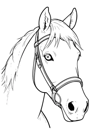 Black-and-white line drawing of a horse's head in profile, wearing a bridle, with a flowing mane and large expressive eye.
