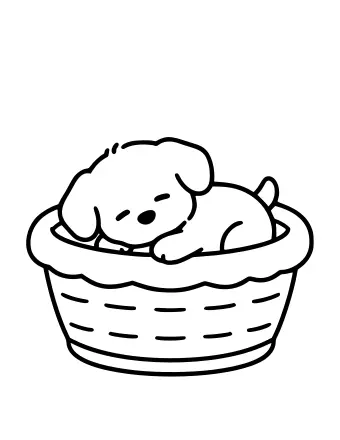 Black-and-white line drawing of a small puppy curled up asleep inside a woven basket, with its eyes closed and tail tucked around its body.