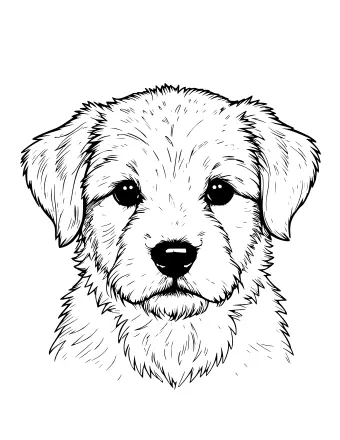 Black and white line drawing of a puppy's face in close-up, showing shaggy fur, floppy ears, large dark eyes, and a black nose.