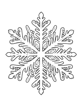 Black and white line drawing of a complex snowflake with six symmetrical arms featuring intricate lace-like patterns, fine lines, and detailed geometric shapes.
