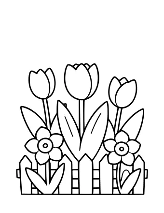 Black-and-white line drawing of a spring garden scene showing three tulips, two daffodils, and a small picket fence.